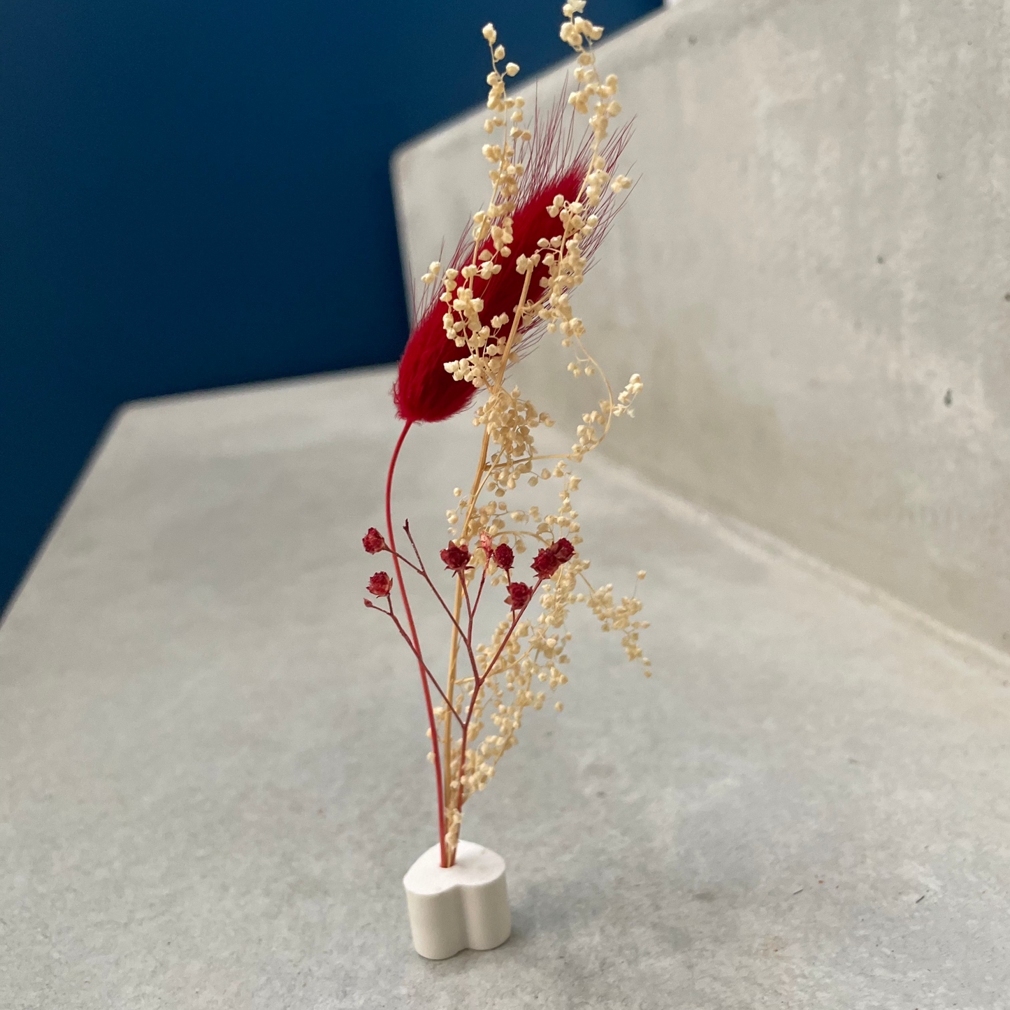 SOLICOEUR _ SOLIFLEUR FLEURS SECHEES