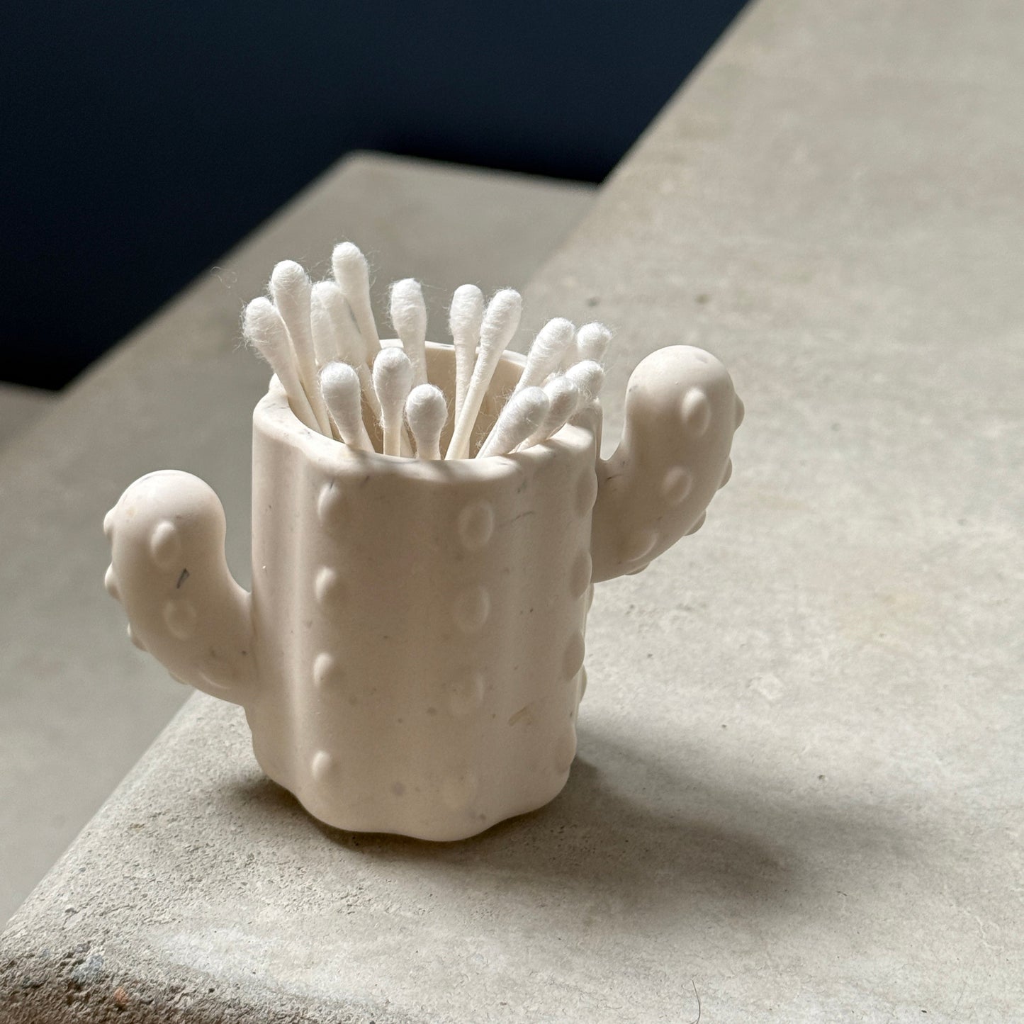 Pot Cactus – Rangement pour cotons-tiges