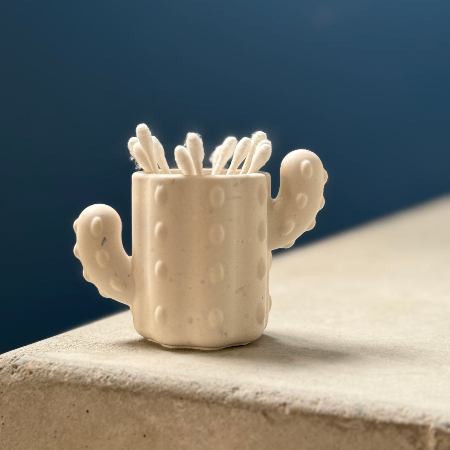 Pot Cactus – Rangement pour cotons-tiges