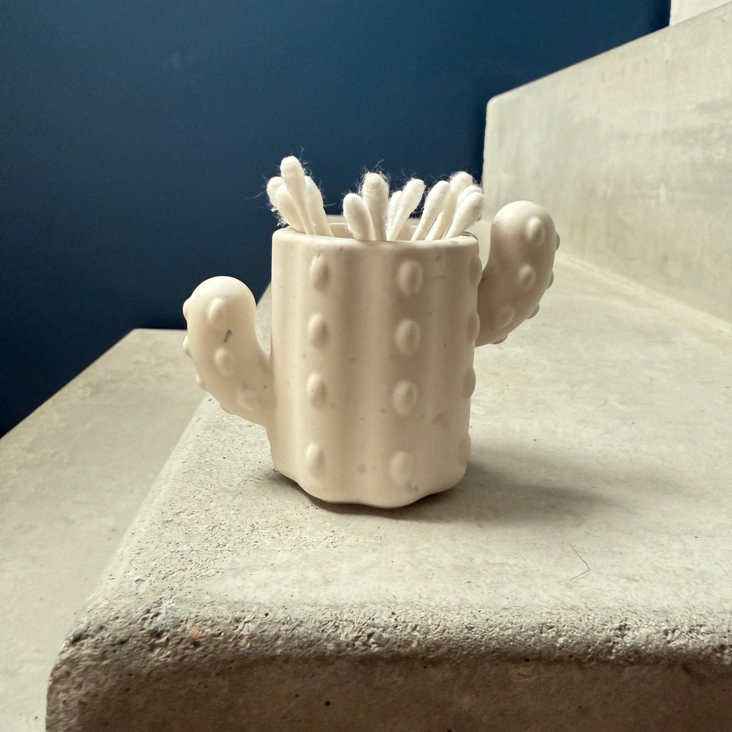 Pot Cactus – Rangement pour cotons-tiges