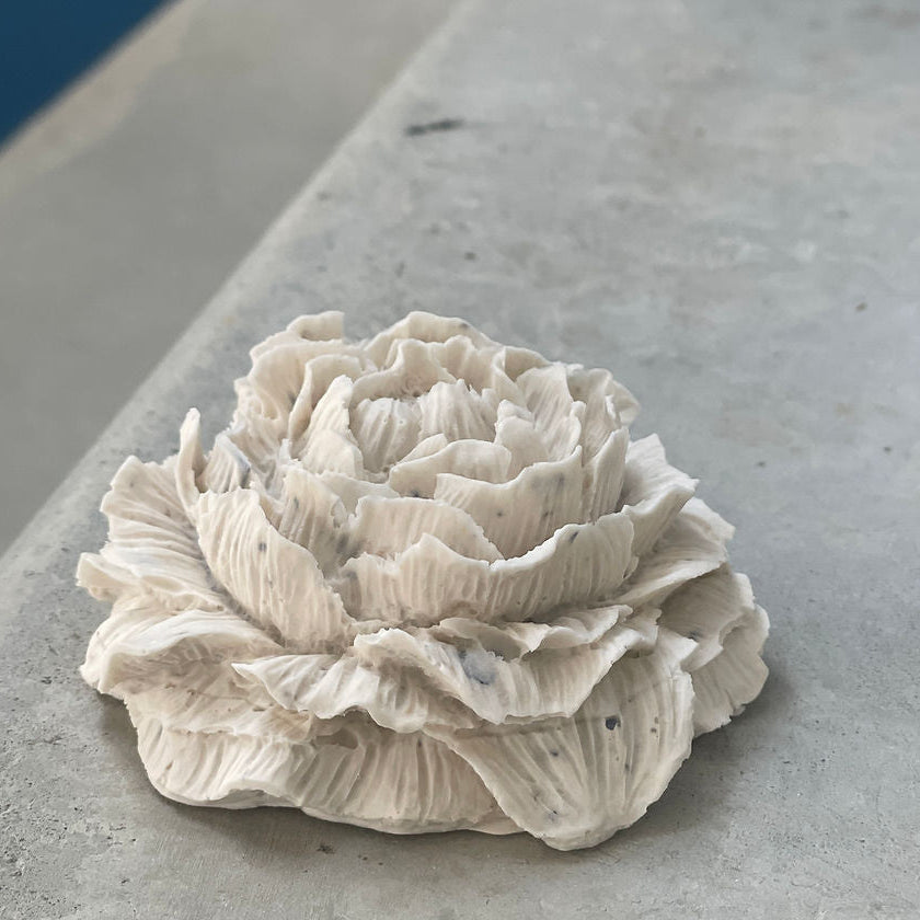 Pivoine à parfumer artisanale