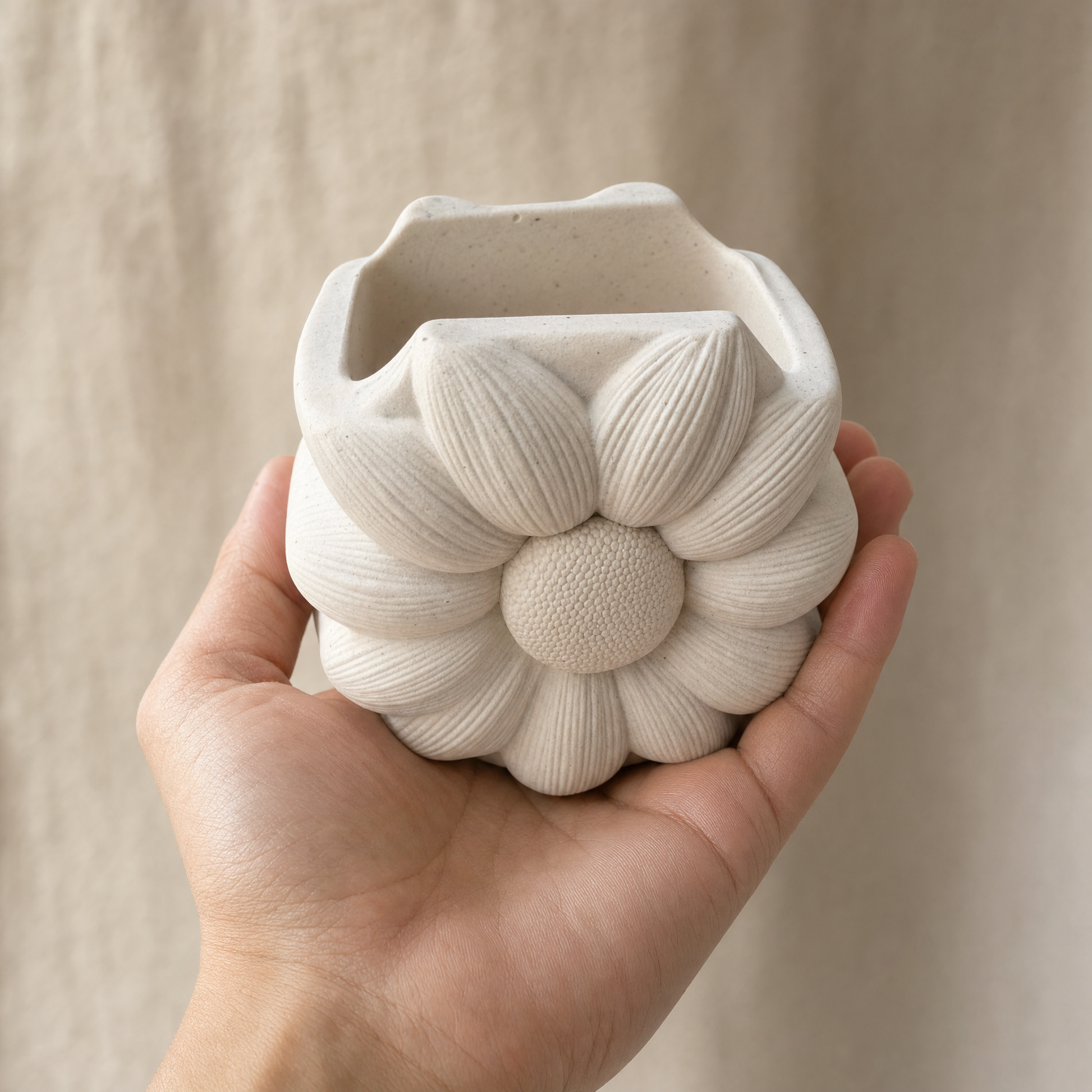 Etsy IA validée — Pot Marguerite tenu en main pour montrer son échelle