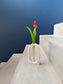 Vase LINÉA – design minimaliste pour fleurs fraîches ou séchées