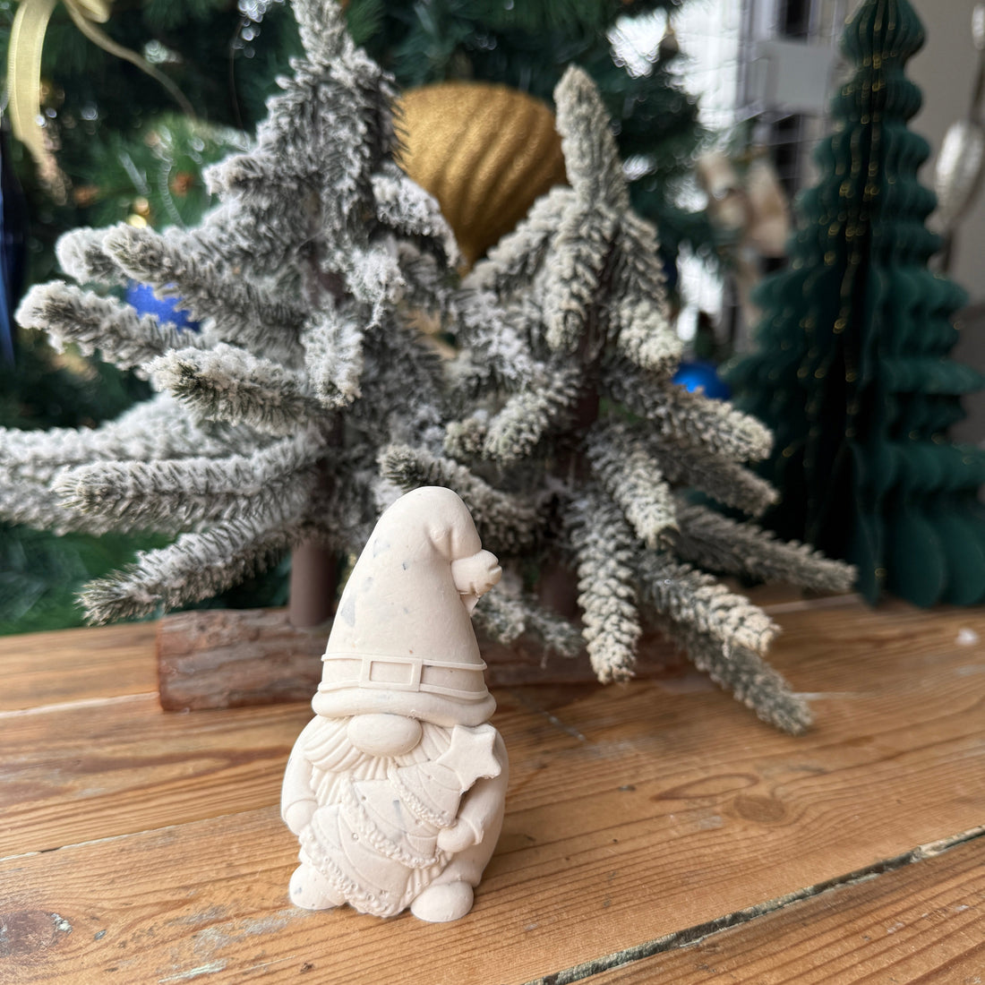 Gnomes dodus