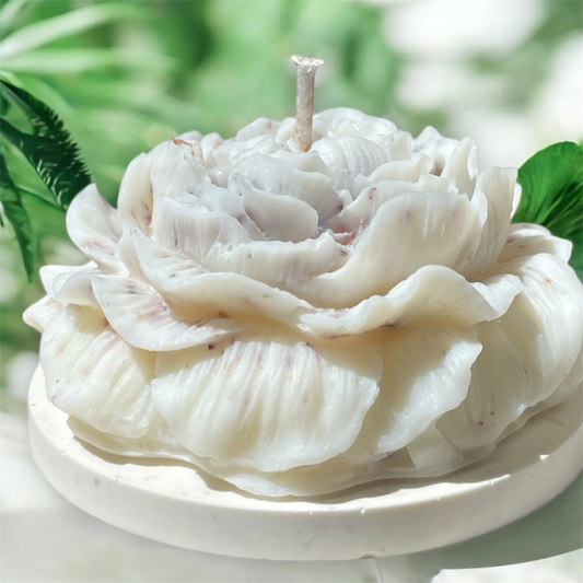 Bougie Pivoine – Parfum pivoine & socle minéral coquiller
