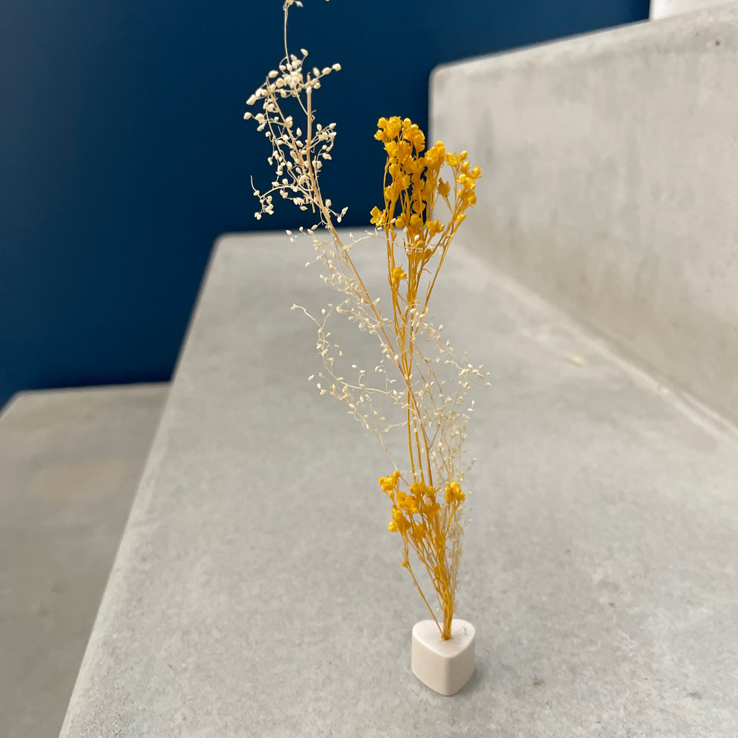 Soliflore fleurs séchées artisanal