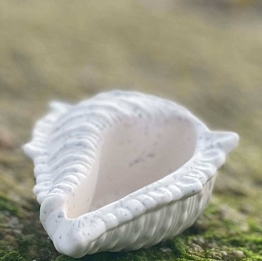 vide poche conque fait main La Bougière