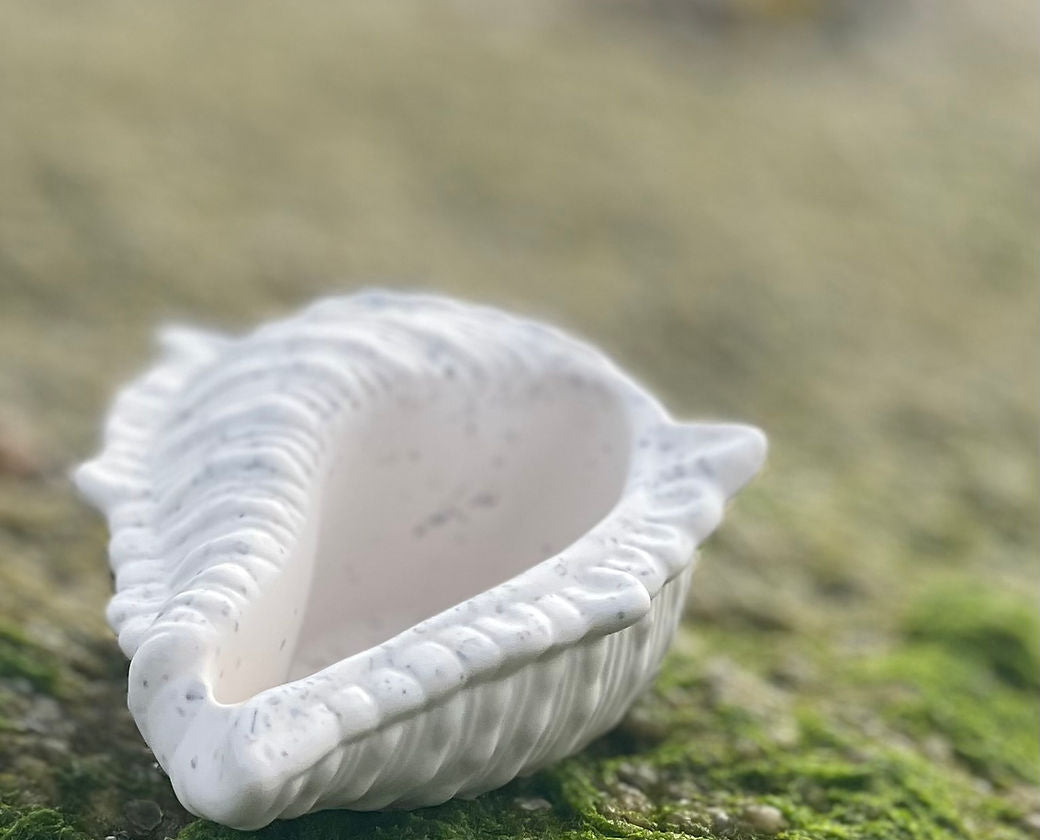 vide poche conque fait main La Bougière